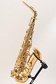 大特価！ゴールドサックス ケース付き（使用1回のみ）スタート時必要なものあります kagz_sax-kagz-001